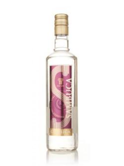 Camel Sambuca Classica