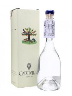 Capovilla Distillato di Prugne Selvatiche