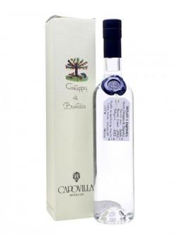 Capovilla Grappa di Barolo 2006