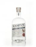 A bottle of Caspyn Cornish Dry Gin