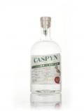 A bottle of Caspyn Midsummer Dry Gin