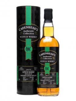 Convalmore 1977 / 21 Year Old / Bot.1998 Speyside Whisky