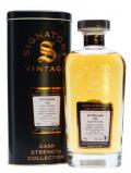 A bottle of Fettercairn 1995 / 19 Year Old / Cask #420 Highland Whisky