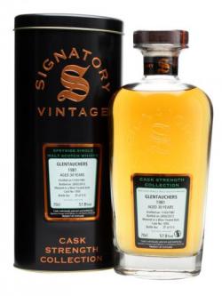 Glentauchers 1981 / 30 Year Old / Cask #1055 Speyside Whisky