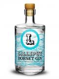 A bottle of Lilliput Dorset Gin