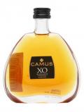 A bottle of Camus XO Elegance Miniature