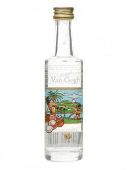 Van Gogh Coconut Vodka Miniature