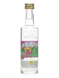 Van Gogh Raspberry Vodka Miniature