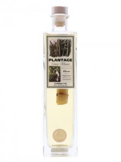 Plantage Cane Rhum