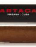 A bottle of Partagas Serie P No 2