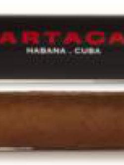 Partagas Serie P No 2